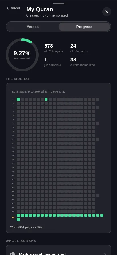 The progress screen: a ring showing nine per cent, and a grid of 604 squares with the thirtieth juz filled in.
